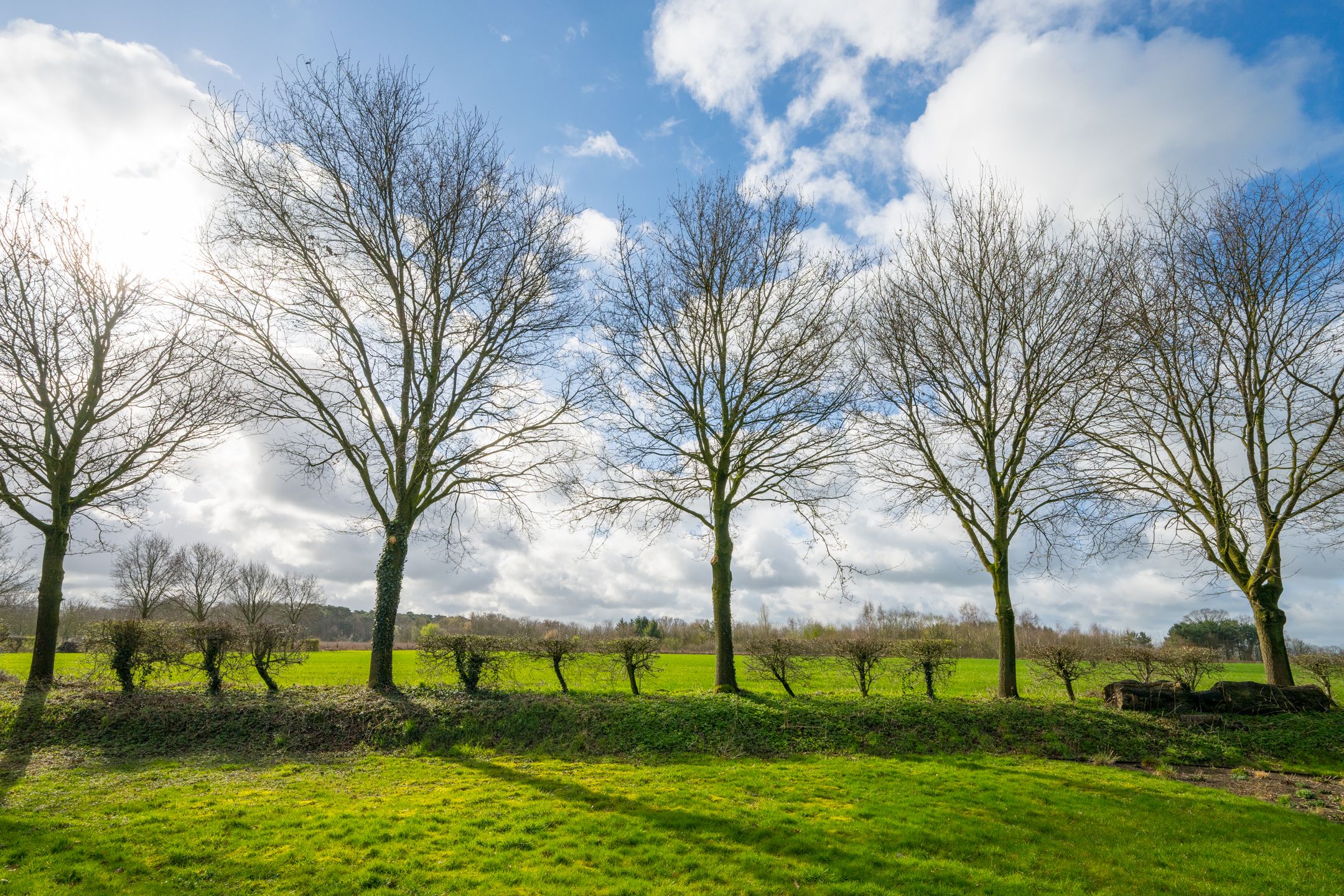 Foto 81 van Brinkeweg 28