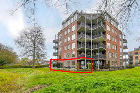 undefined main image