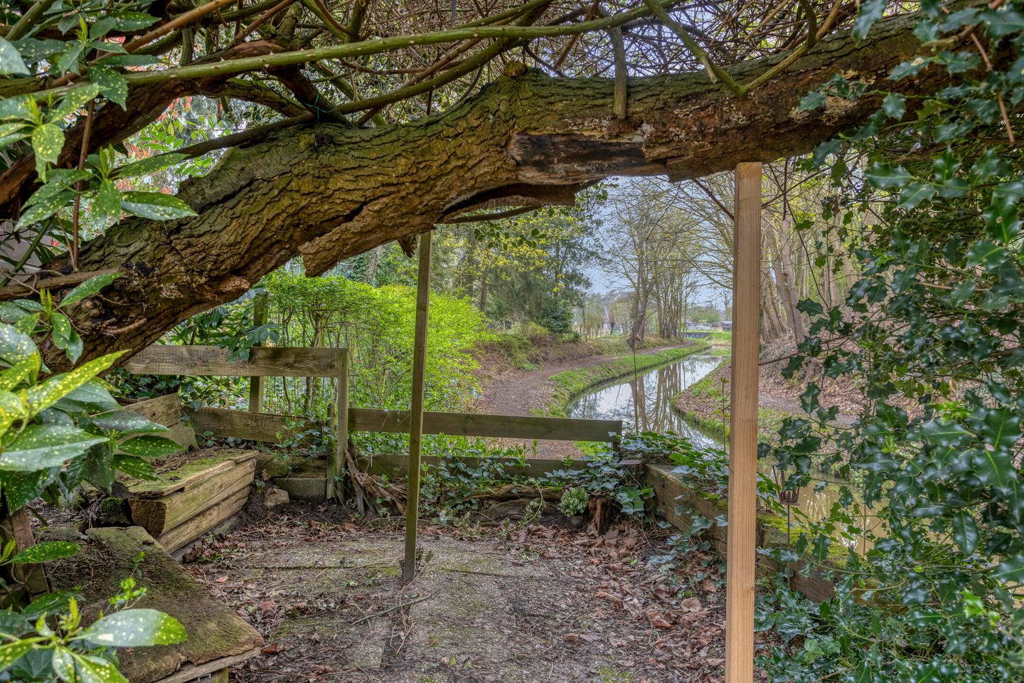 Photo 5 of Magnoliastraat 22