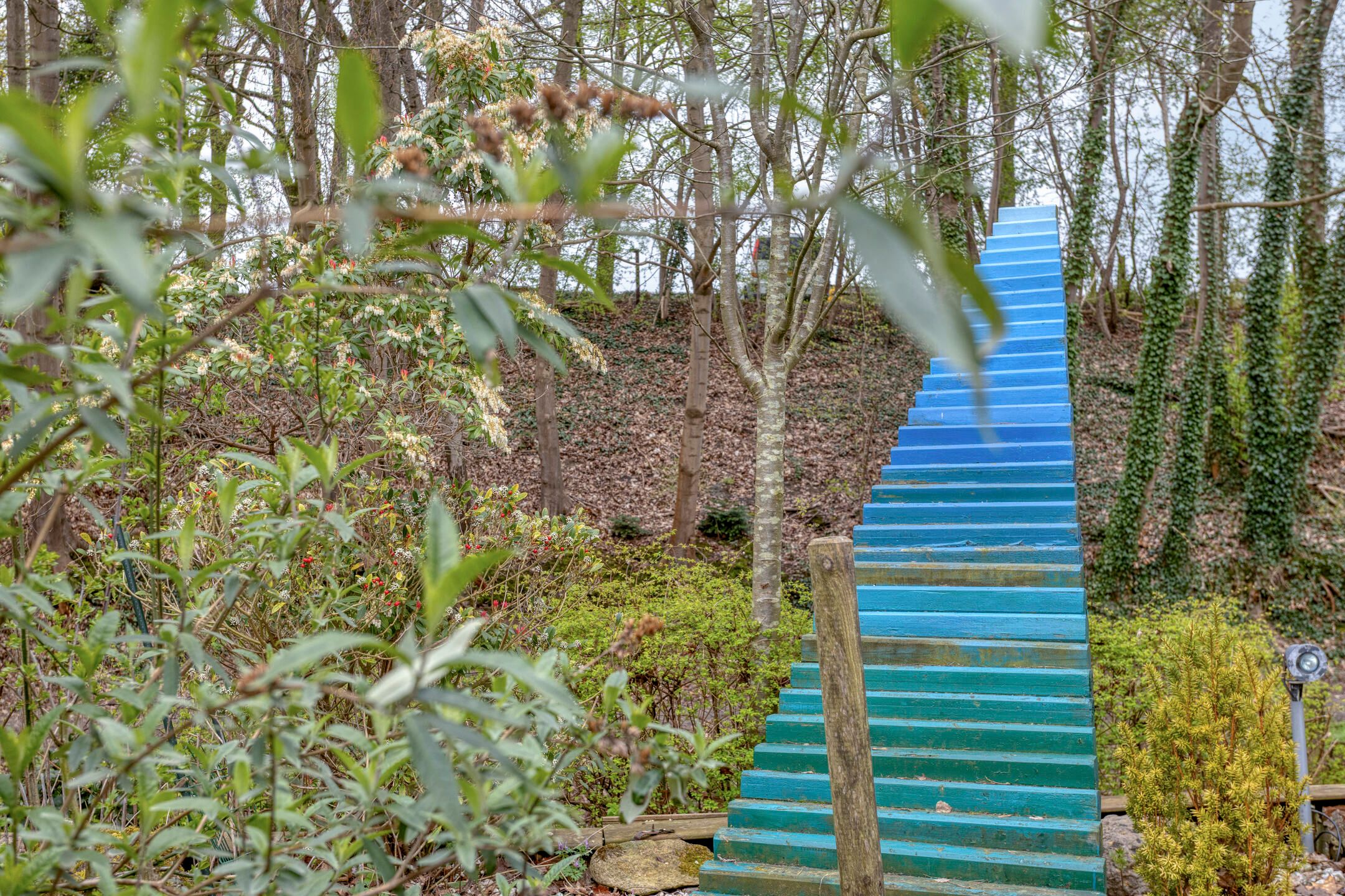 Photo 42 of Magnoliastraat 22