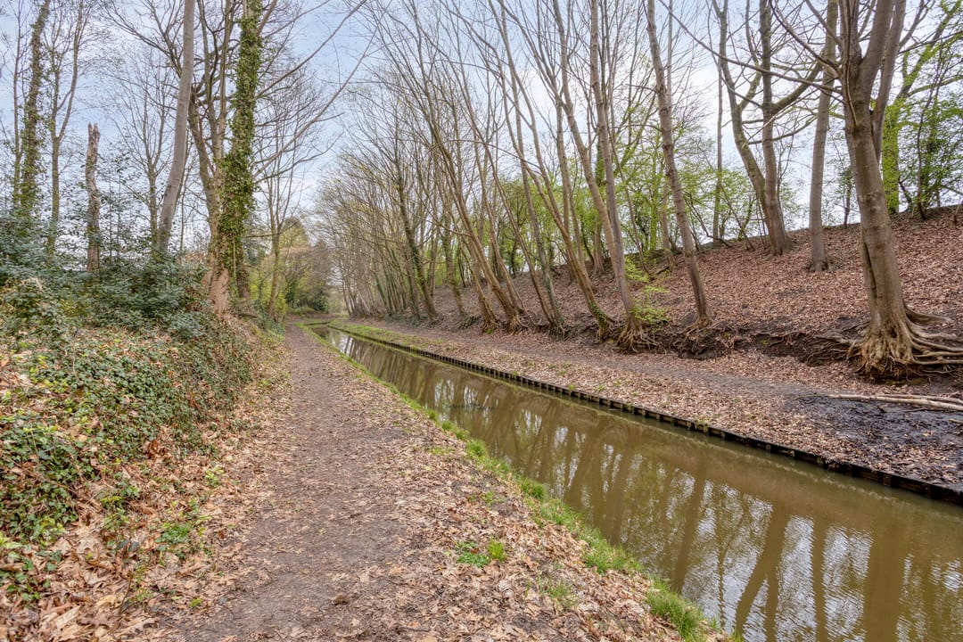 Photo 52 of Magnoliastraat 22