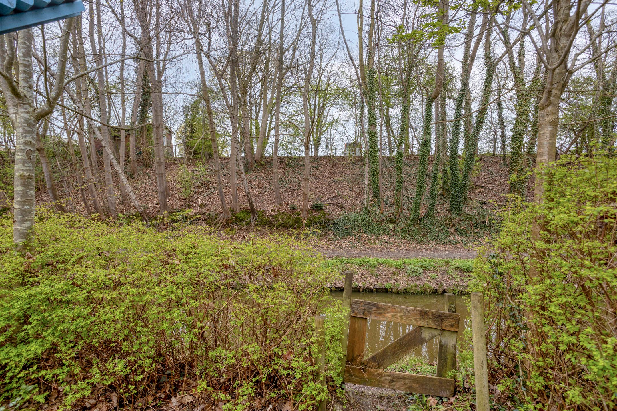 Photo 45 of Magnoliastraat 22