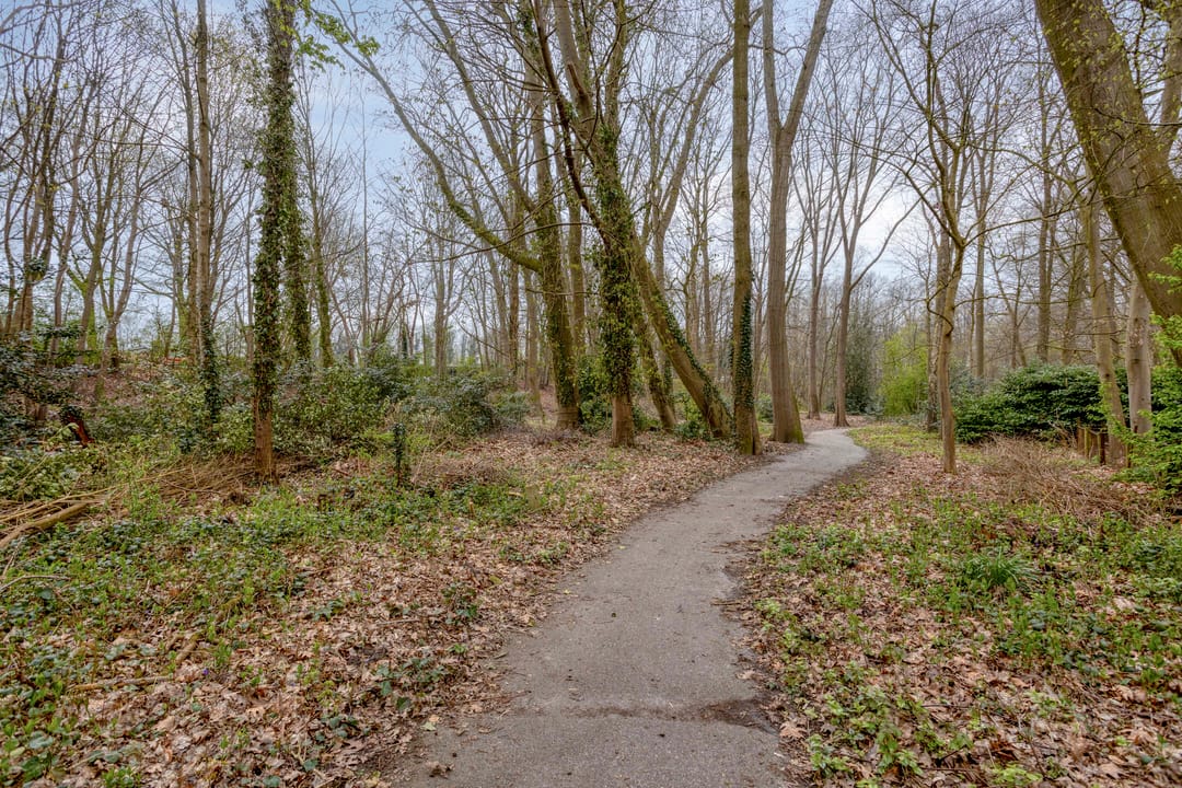 Photo 53 of Magnoliastraat 22