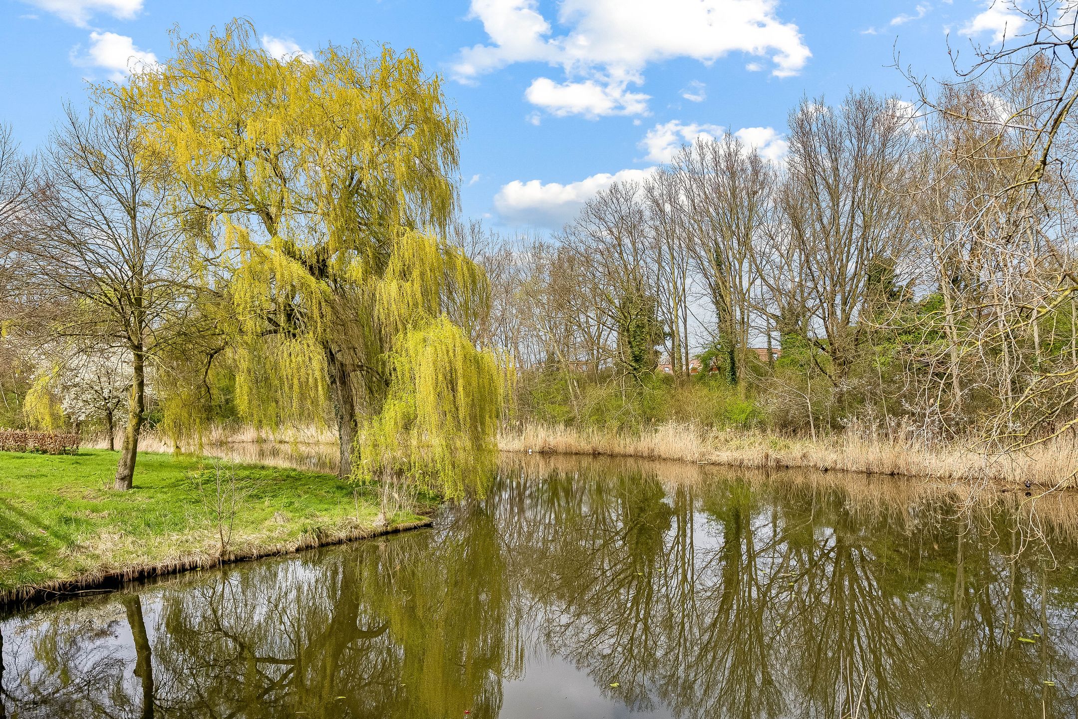 Foto 36 van Tuinderswerf 59