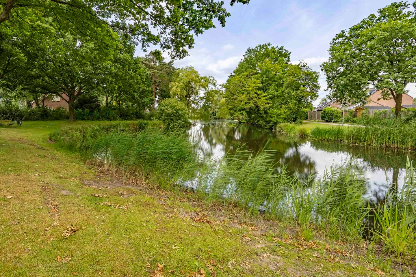 Photo 4 of Meeuwstraat 14