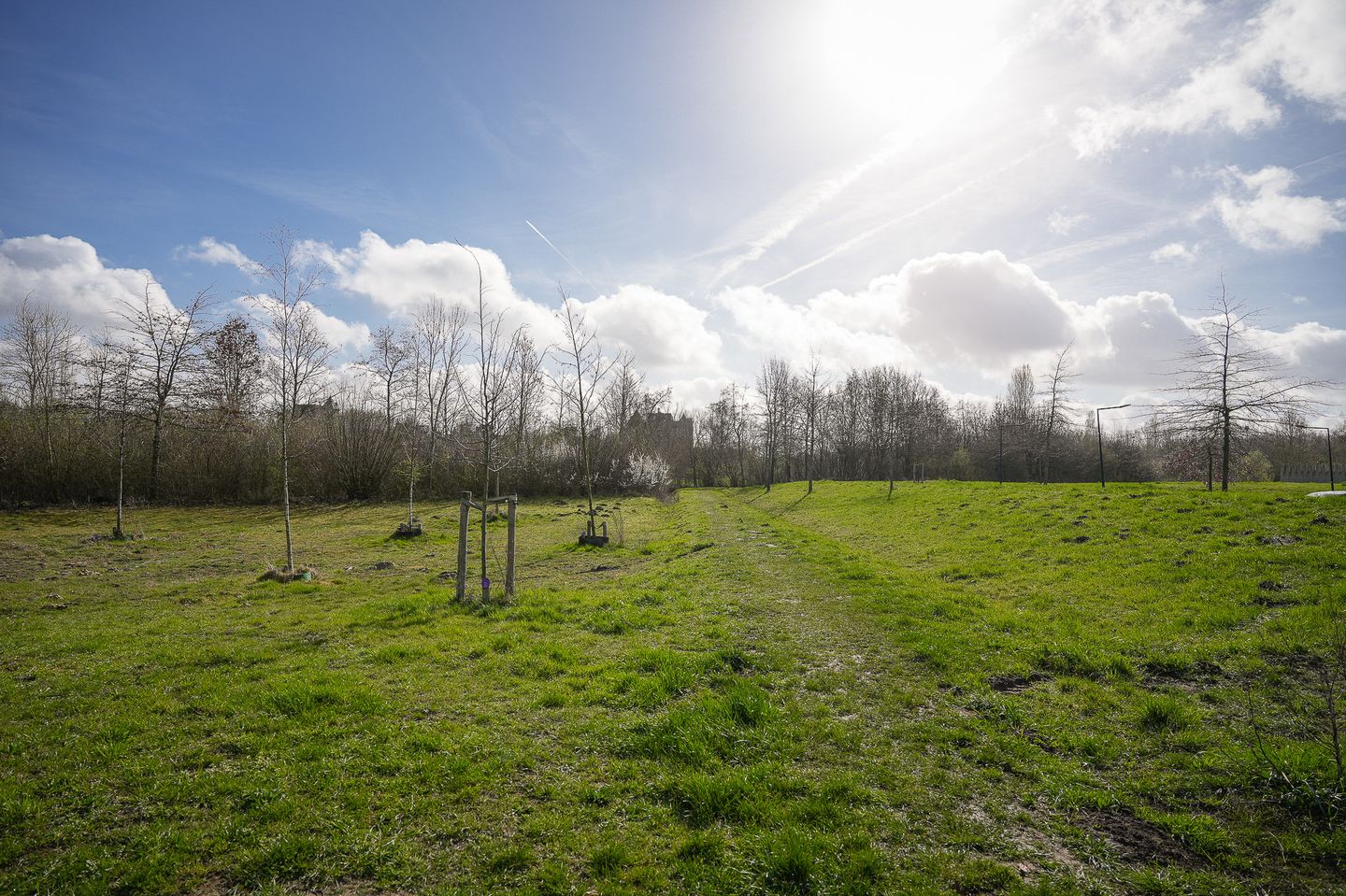 Photo 50 of Beeckendael 58