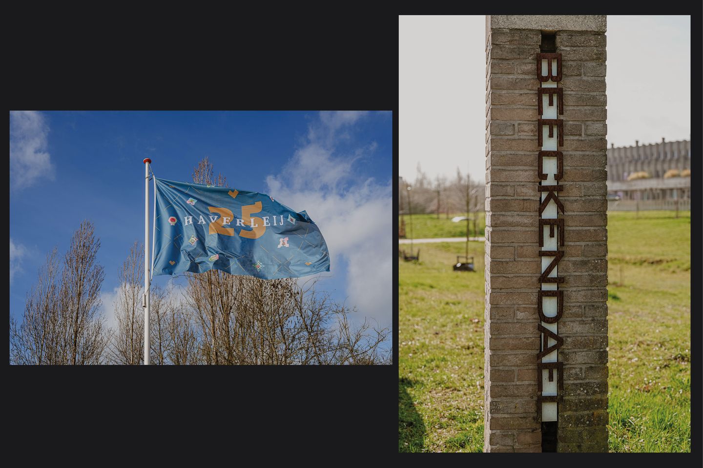 Photo 59 of Beeckendael 58