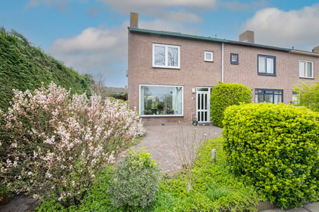Esdoornplantsoen thumbnail