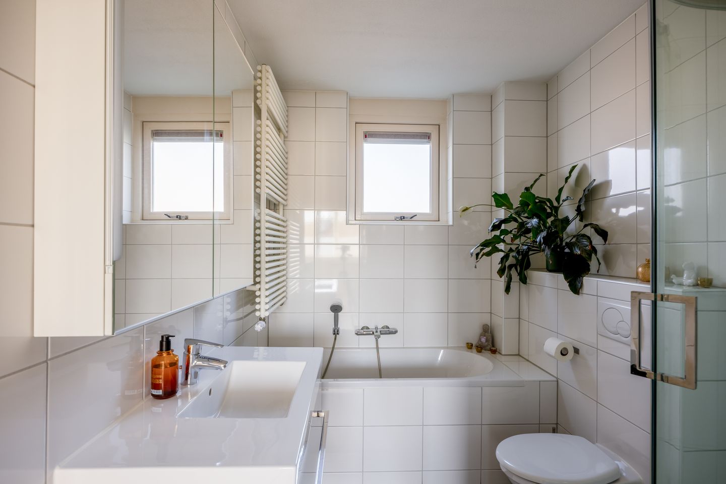 Foto 25 van De Bies 1