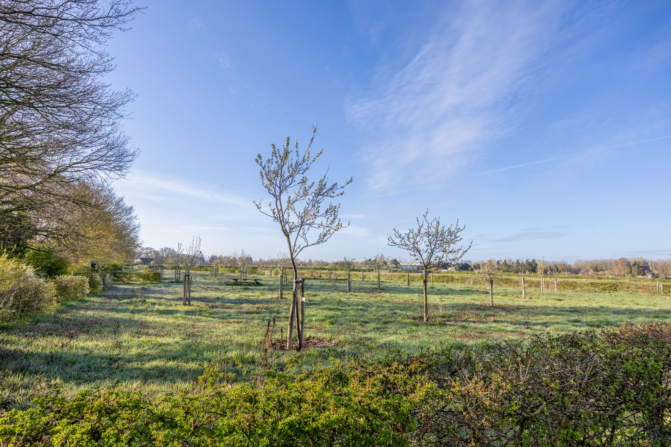 Foto 39 van De Bies 1