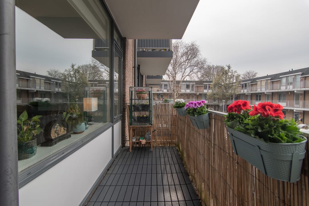 Photo 17 of Sanne van Havelteplein 39