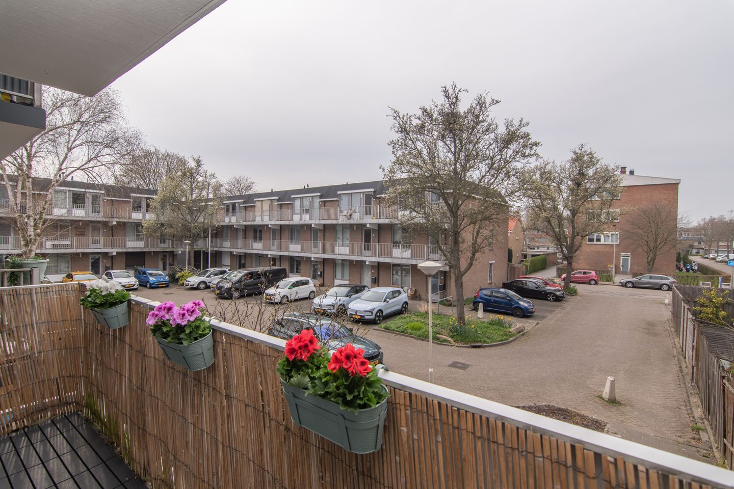 Photo 19 of Sanne van Havelteplein 39