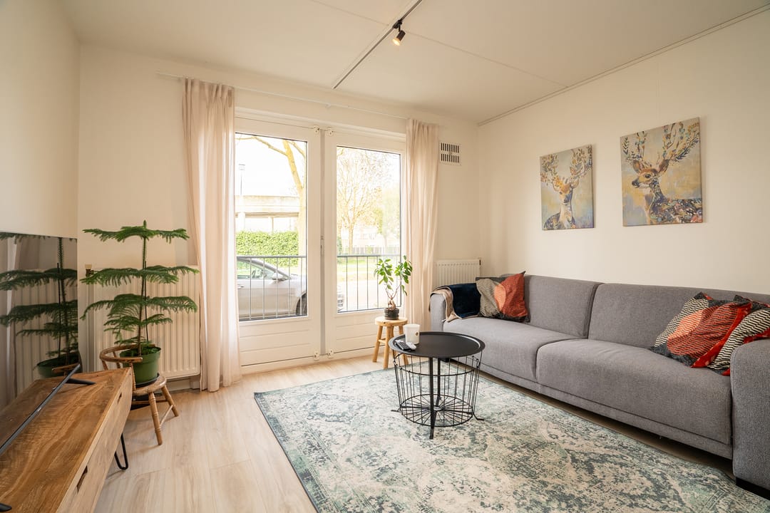 Foto 7 van Hoge Bothofstraat 64