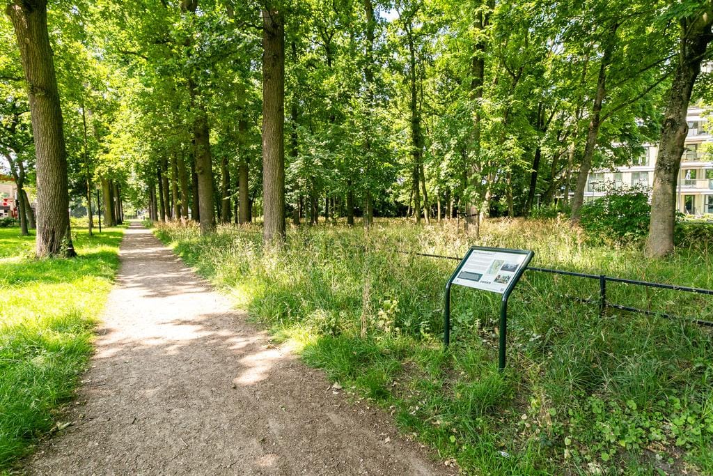 Photo 26 of Rachmaninoffplantsoen 41