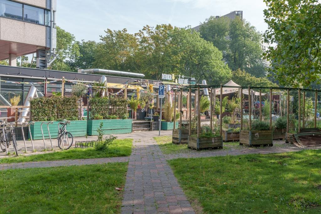 Photo 27 of Rachmaninoffplantsoen 41