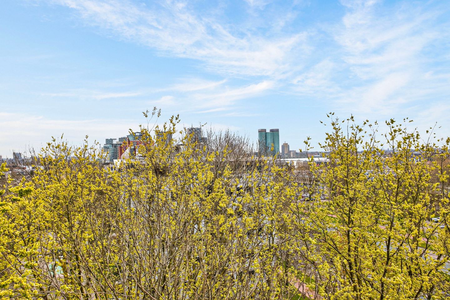 Photo 14 of Rachmaninoffplantsoen 41