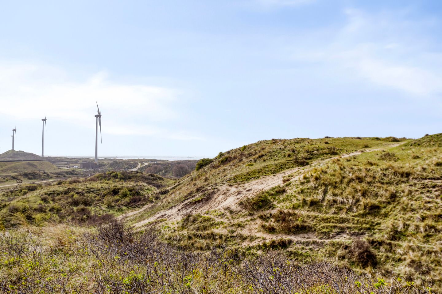 Photo 29 of Julianaplein 19