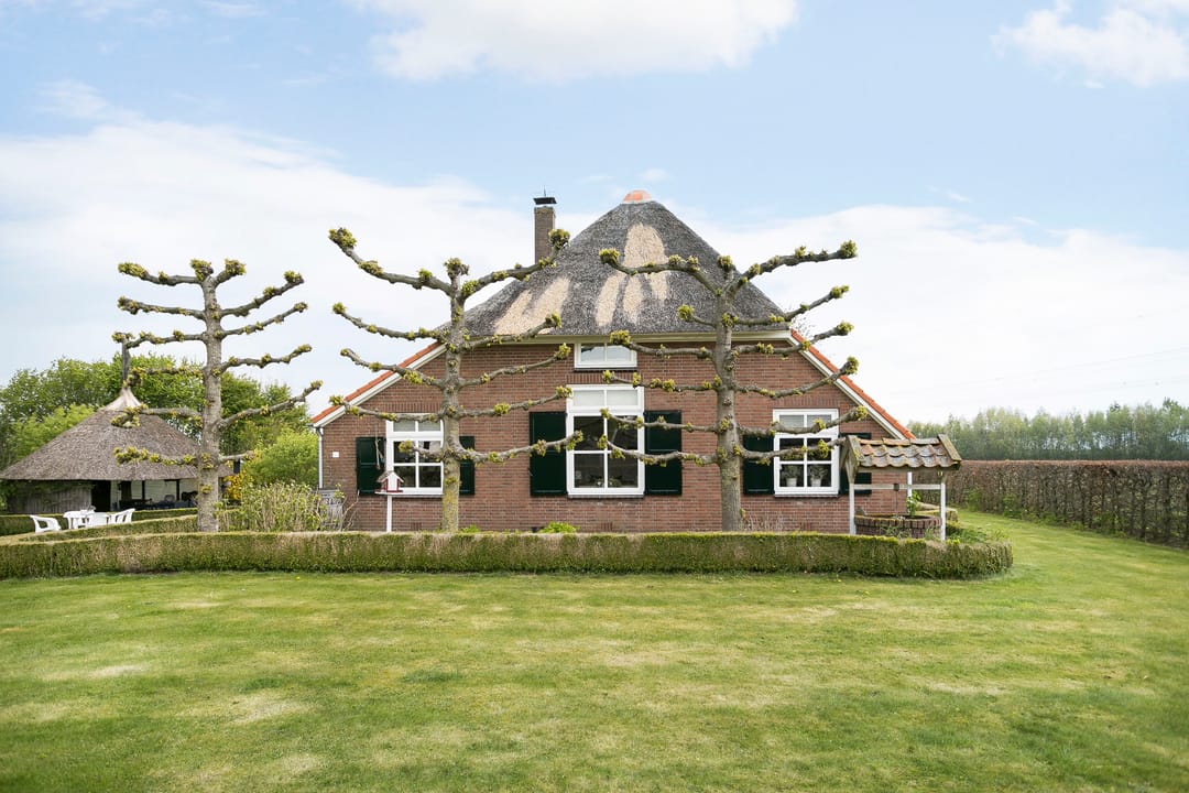 Foto 31 van Schiphorsterstraat 6