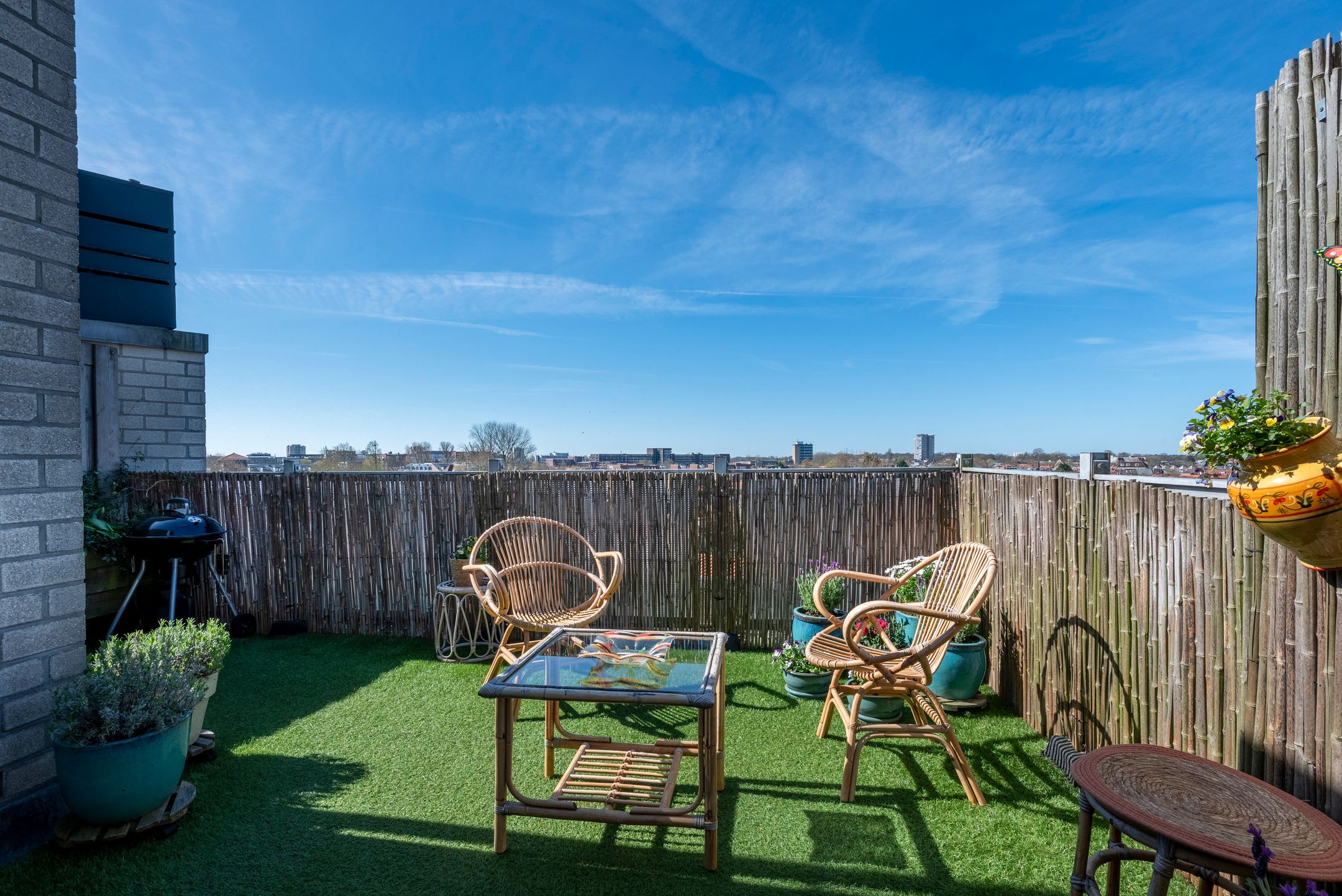 Foto 3 van Zomervaart 206-F