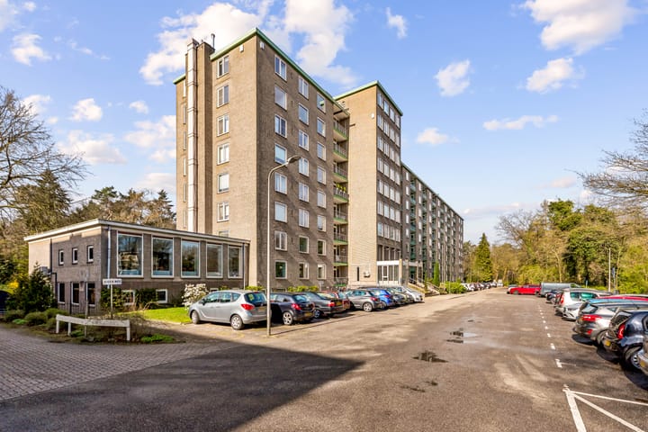 Photo 3 of Arnhemse Bovenweg 16-14