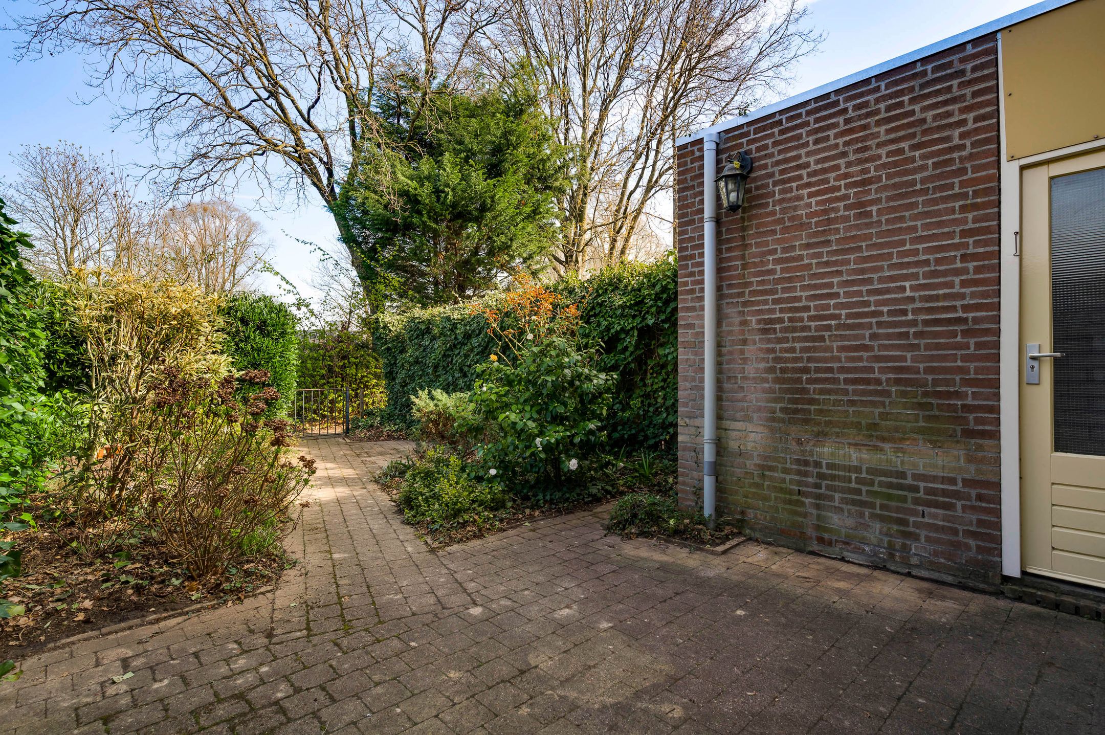 Photo 15 of Gamanderweerd 8