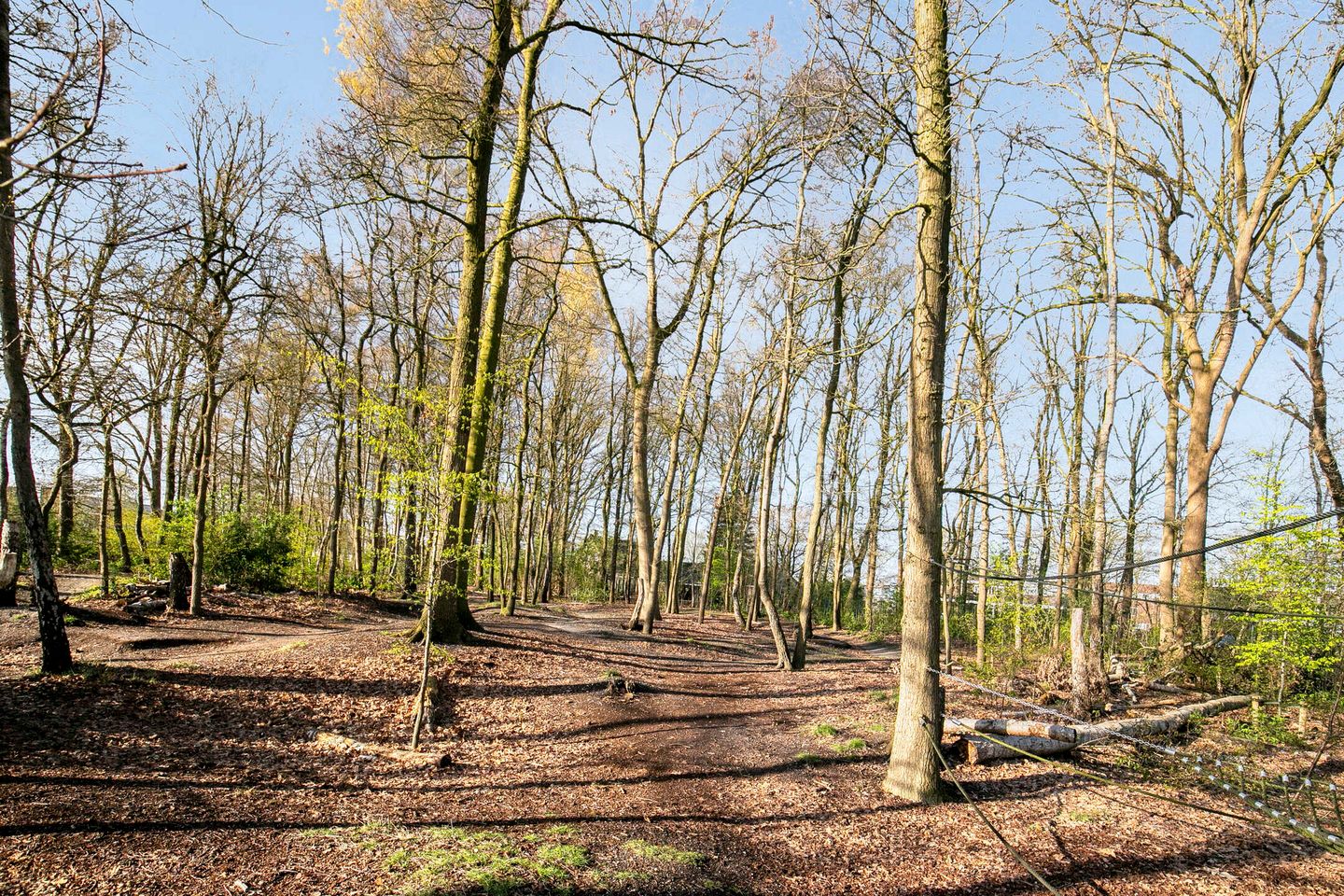 Foto 49 van Fruitgaard 29