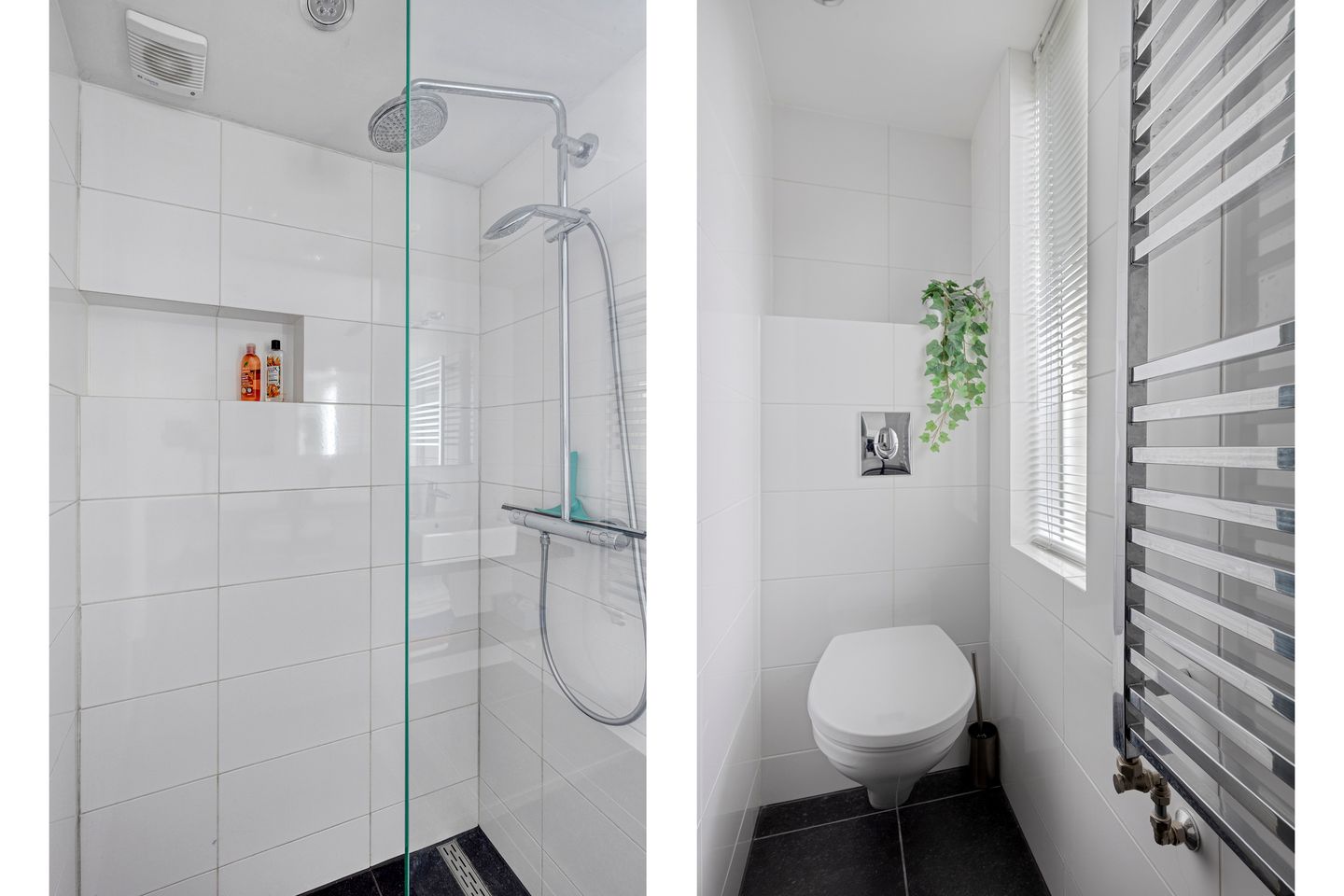 Photo 25 of Lemsterland 9