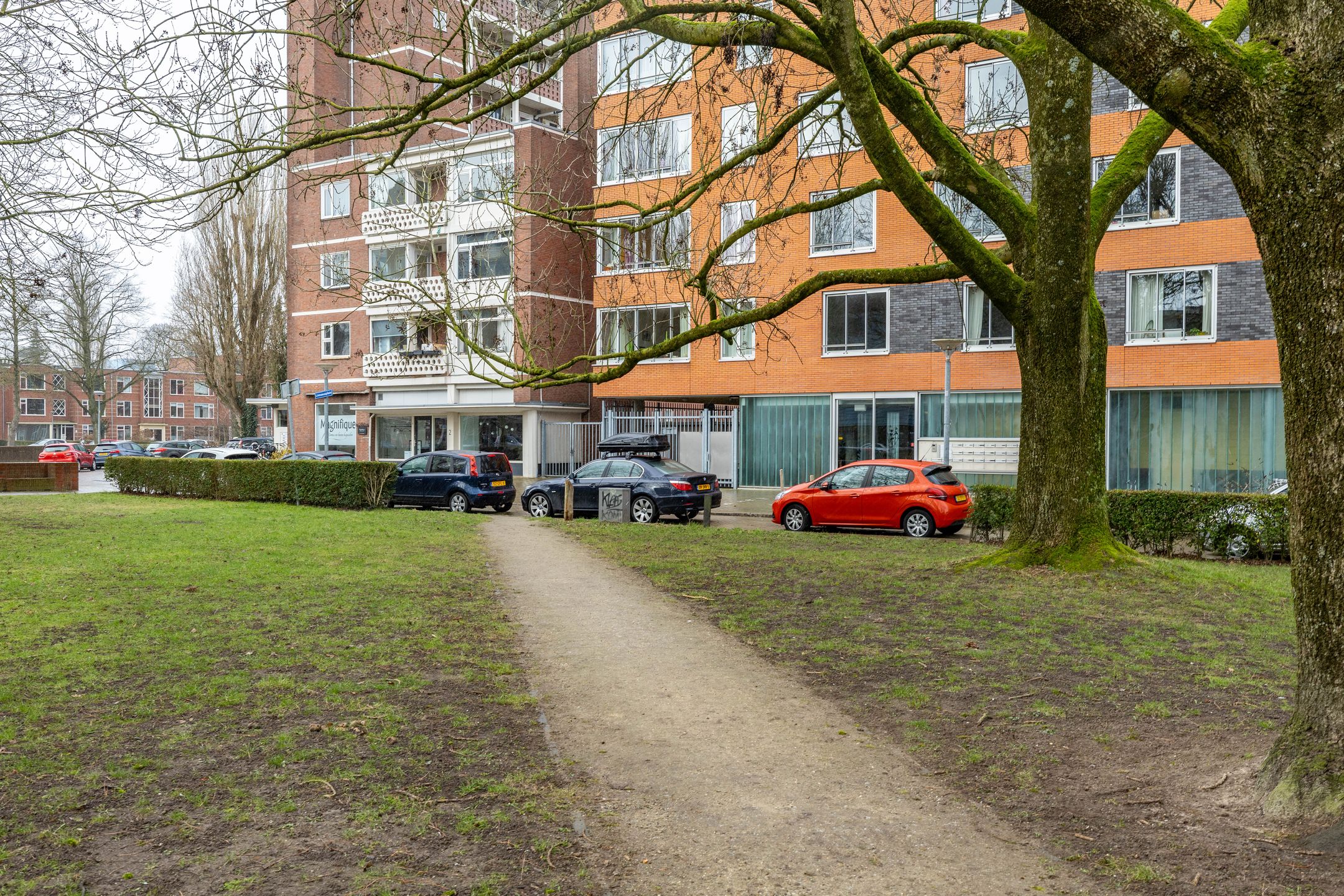 Foto 6 van Linnaeusplein 26