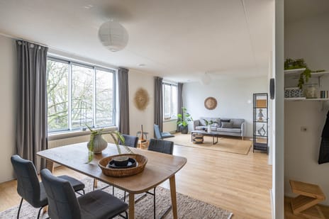 Linnaeusplein thumbnail