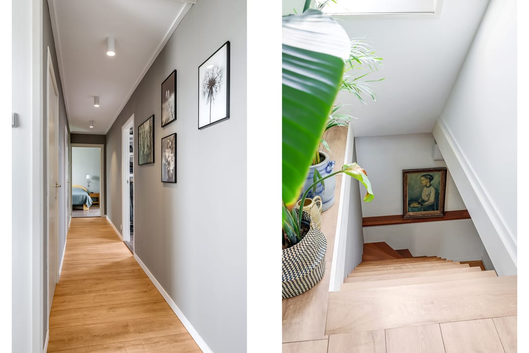 Foto 61 van Pluimenburgsestraat 16