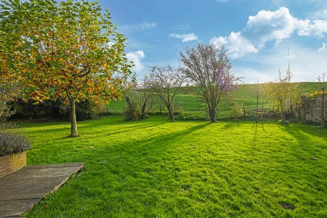 Foto 11 van Pluimenburgsestraat 16