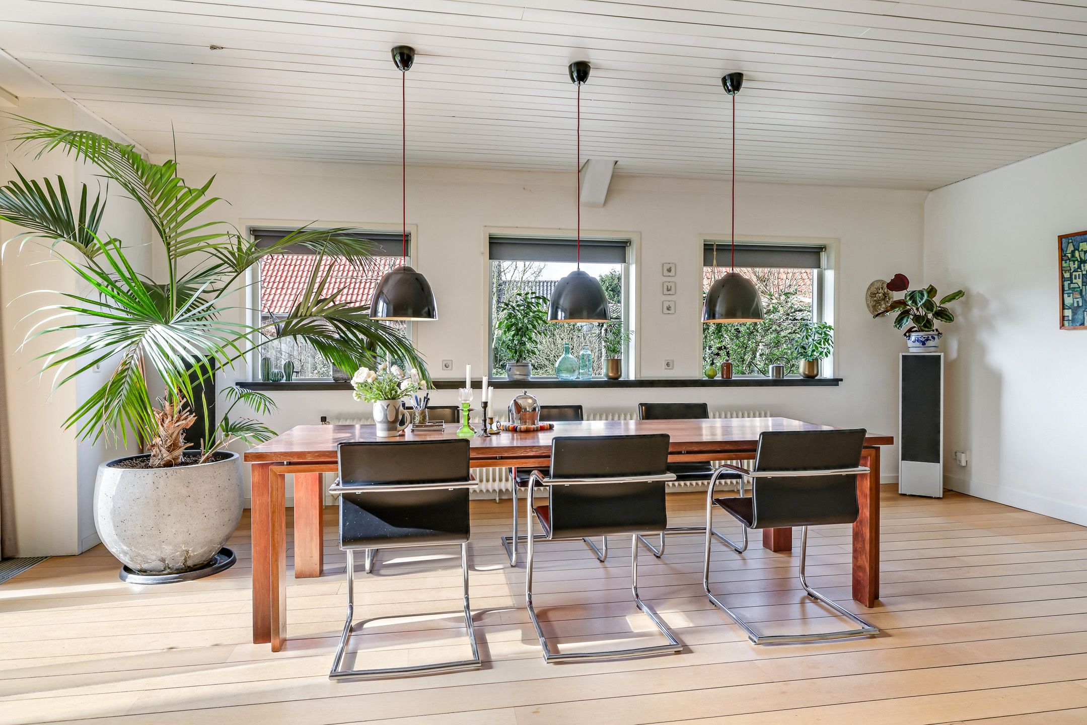 Foto 33 van Pluimenburgsestraat 16