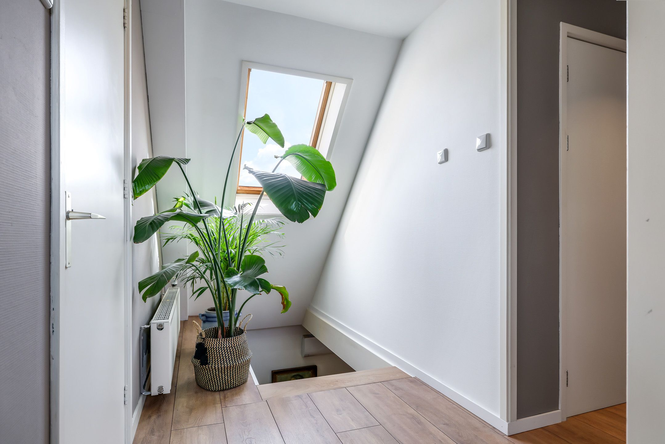 Foto 51 van Pluimenburgsestraat 16