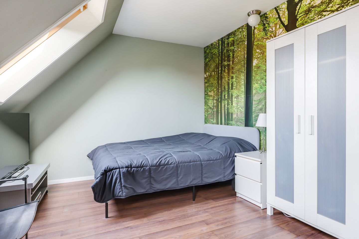 Foto 59 van Pluimenburgsestraat 16