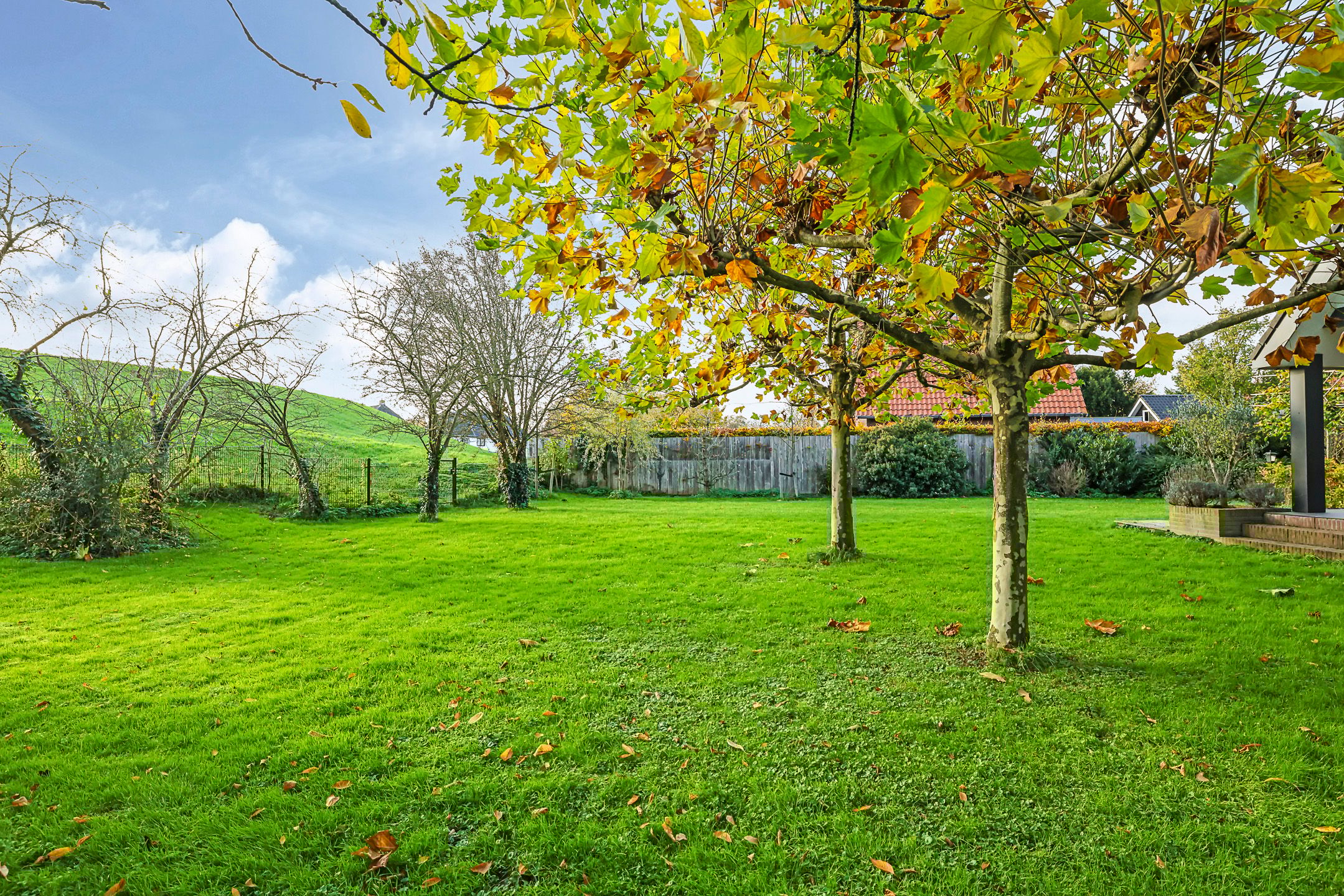 Foto 108 van Pluimenburgsestraat 16