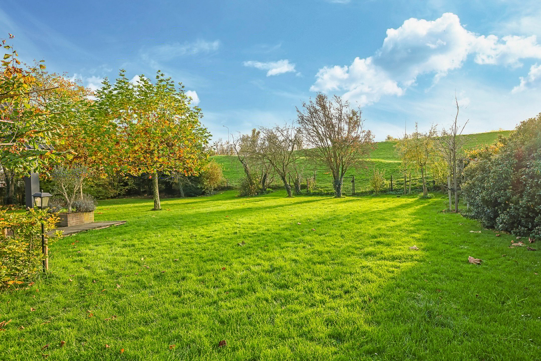 Foto 111 van Pluimenburgsestraat 16