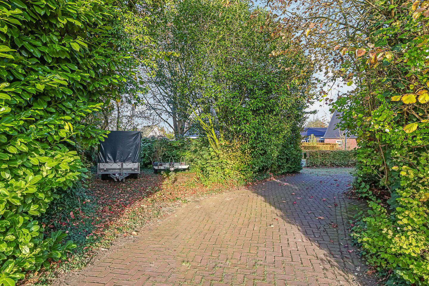 Foto 119 van Pluimenburgsestraat 16