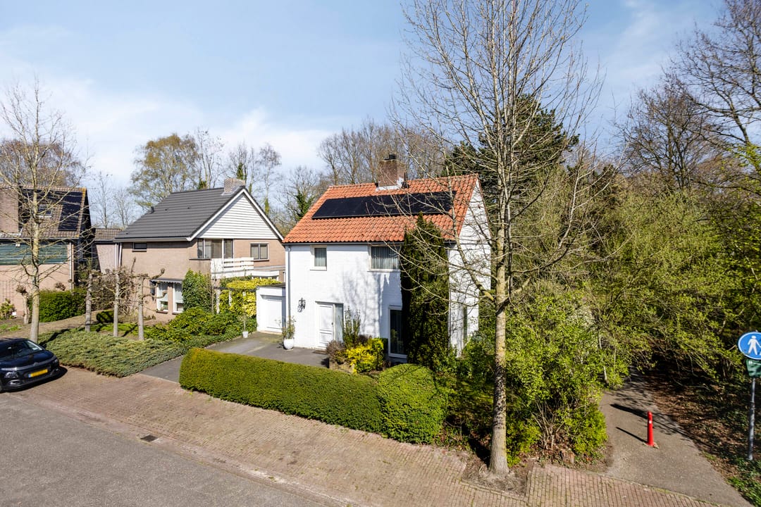 Foto 47 van De Goudplevier 17