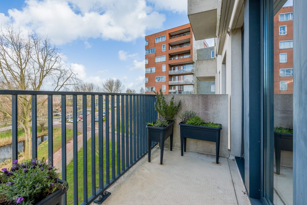 Foto 11 van Berkenplein 215