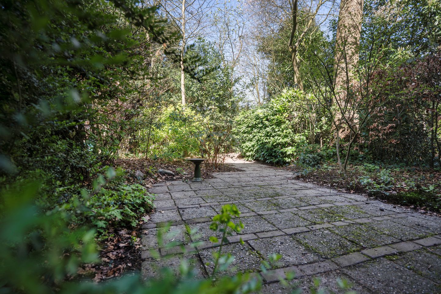 Foto 59 van Bachlaan 65