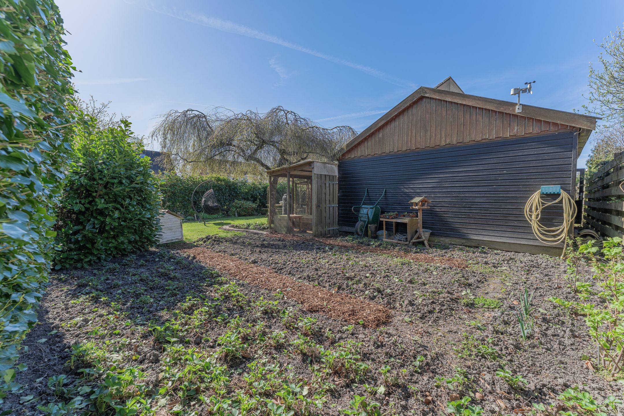 Foto 54 van Ruiter 3