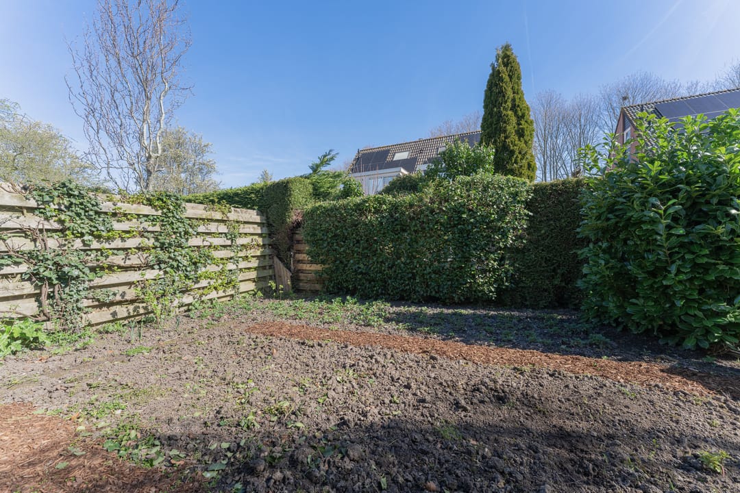 Foto 53 van Ruiter 3