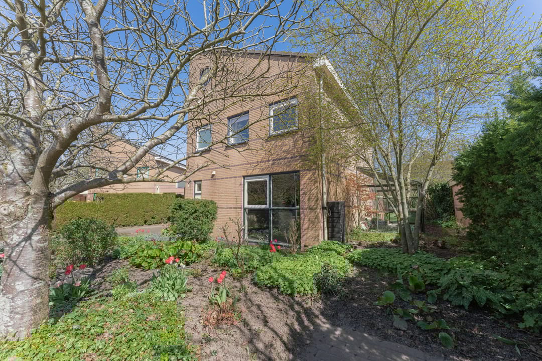 Foto 61 van Ruiter 3