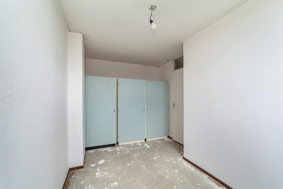 Photo 16 of Goudfazant 4