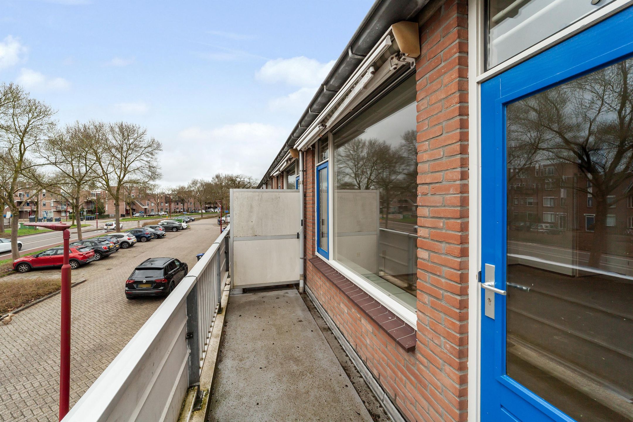 Photo 21 of Goudfazant 4