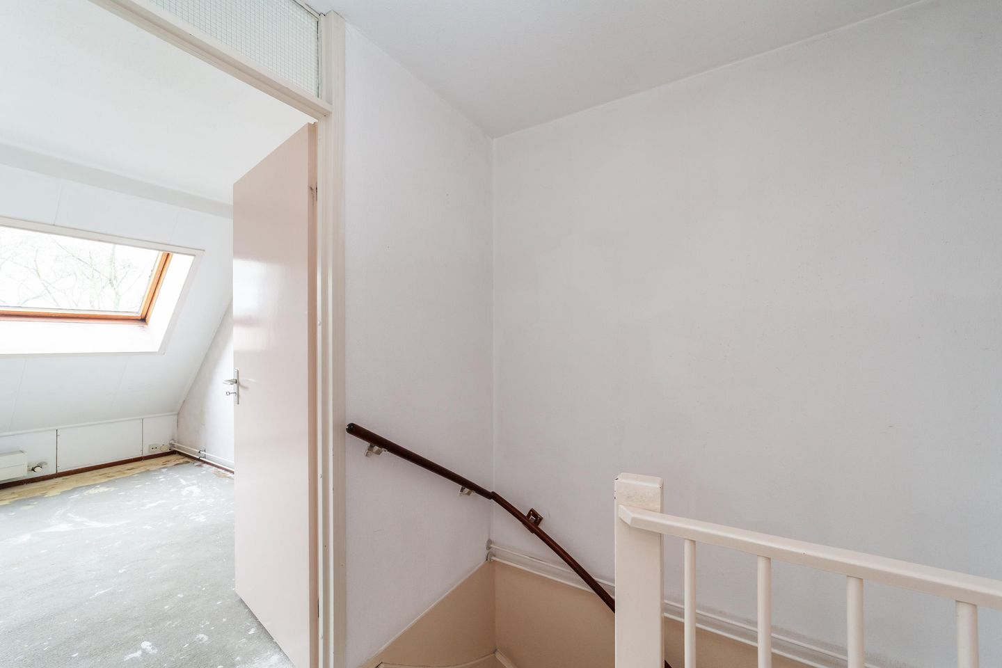 Photo 20 of Goudfazant 4