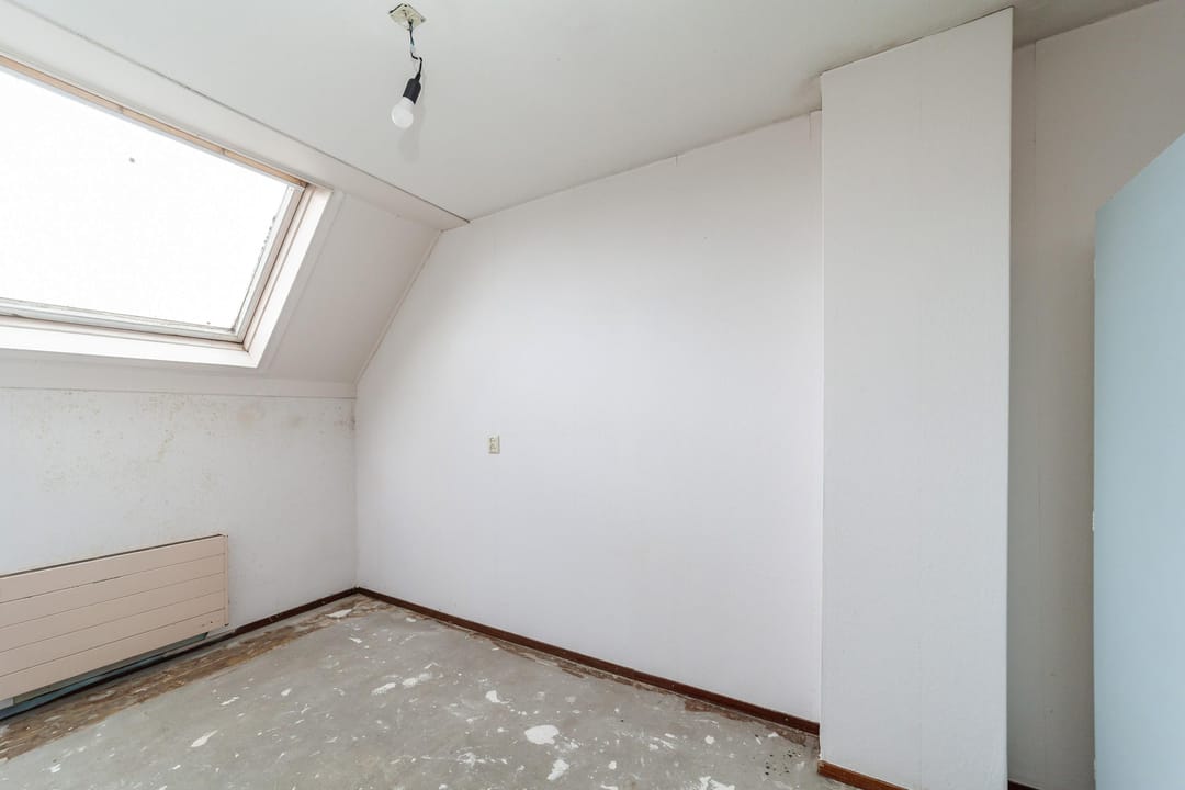 Photo 17 of Goudfazant 4