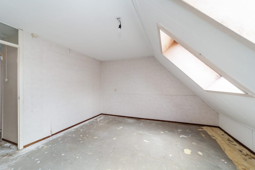 Photo 13 of Goudfazant 4