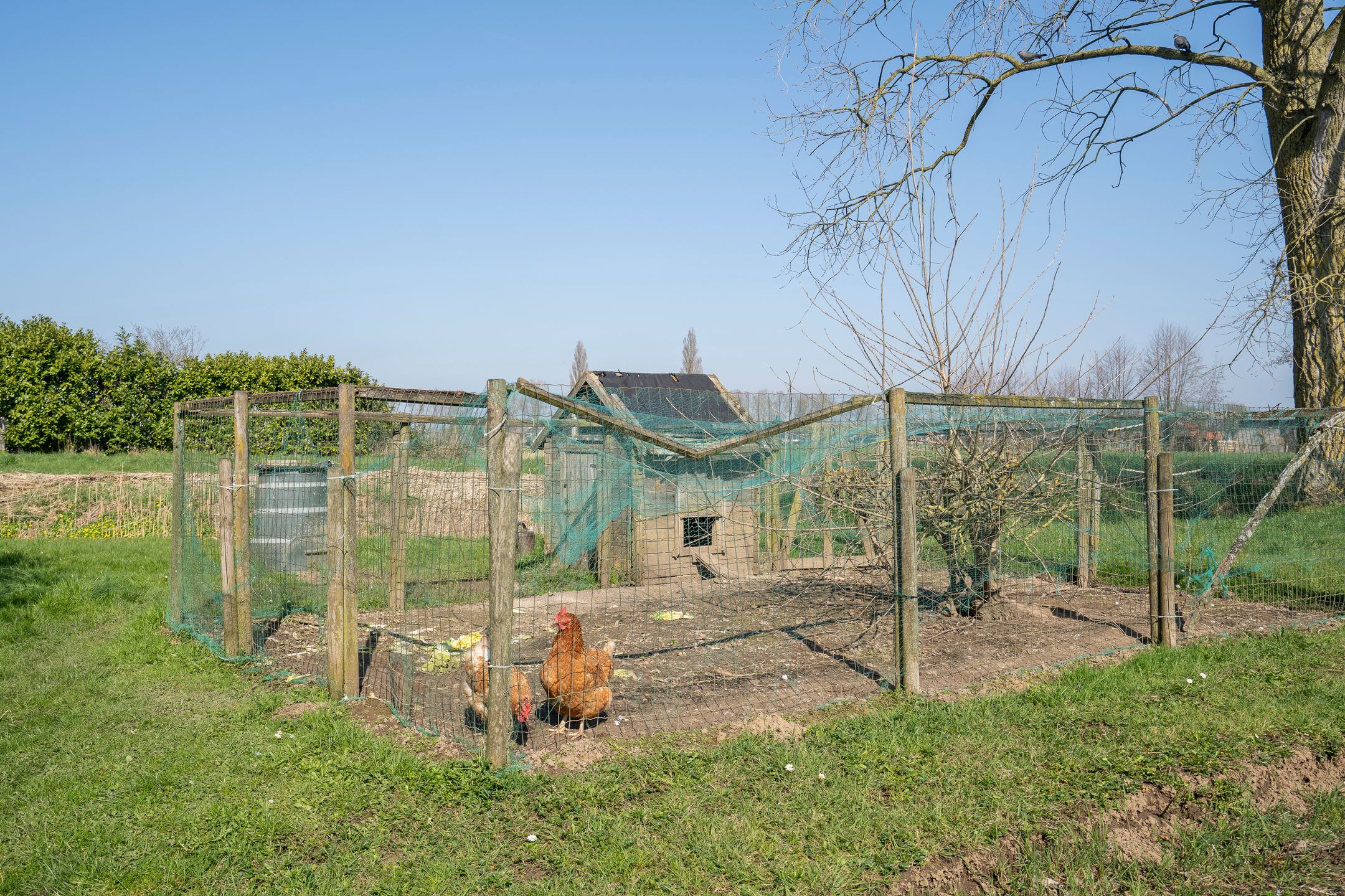 Characteristic semi-detached home with spacious garden and open dike views — 27