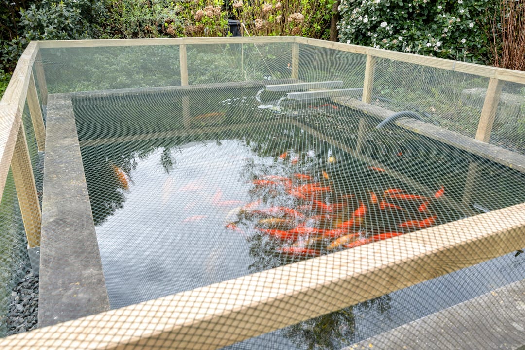 Foto 46 van Toermalijndijk 4